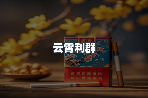 云霄利群